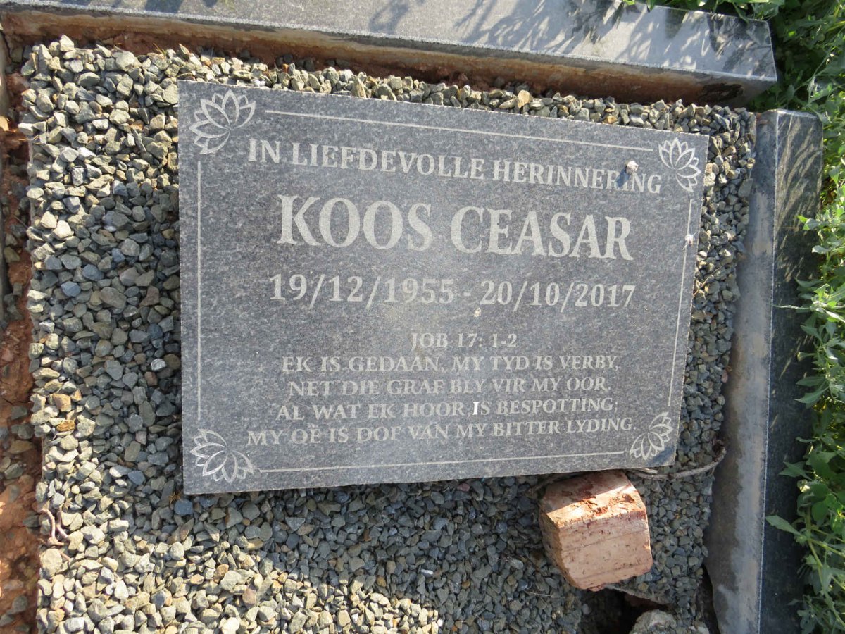 CEASAR Koos 1955-2017