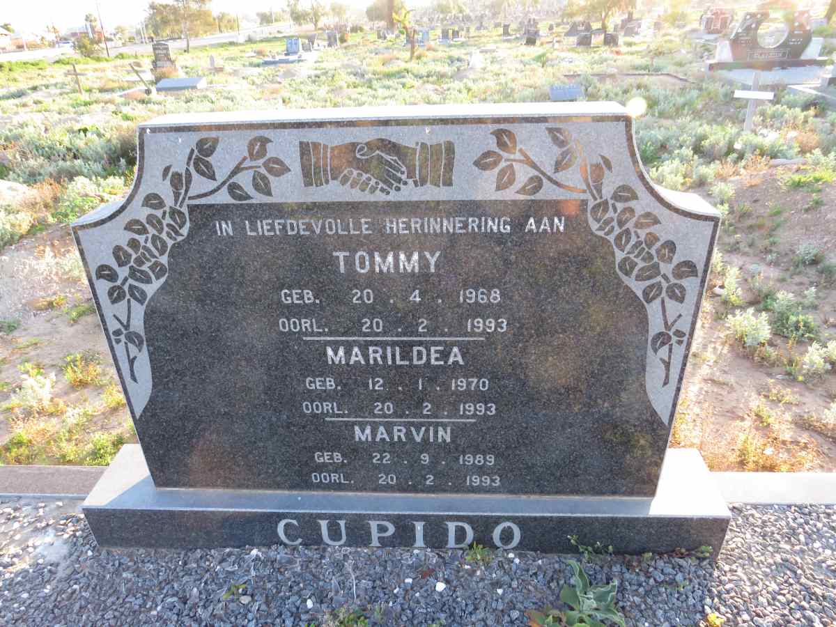 CUPIDO Tommy 1968-1993 & Marildea 1970-1993 :: CUPIDO Marvin 1989-1993