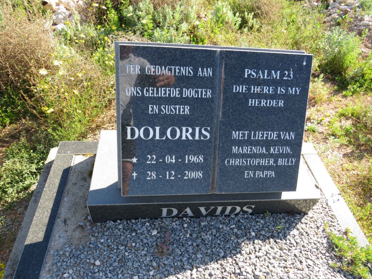 DAVIDS Doloris 1968-2008