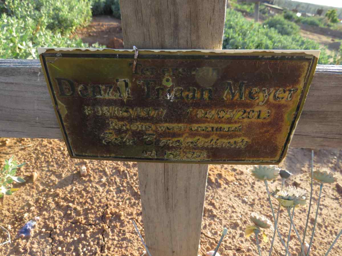 MEYER Denzil Triaan 1977-2013