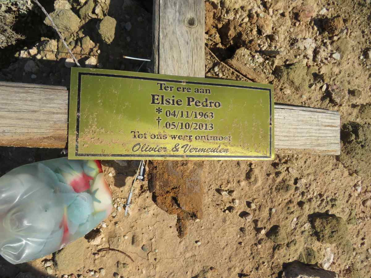 PEDRO Elsie 1963-2013