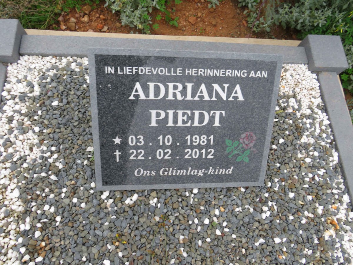 PIEDT Adriana 1981-2012
