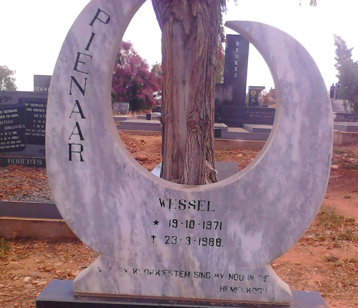 PIENAAR Wessel 1971-1988