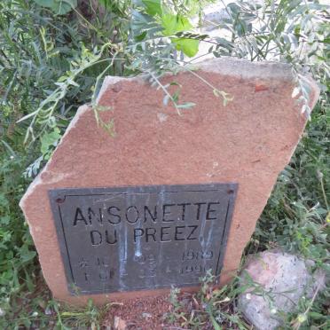 PREEZ Ansonette, du 1989-1990