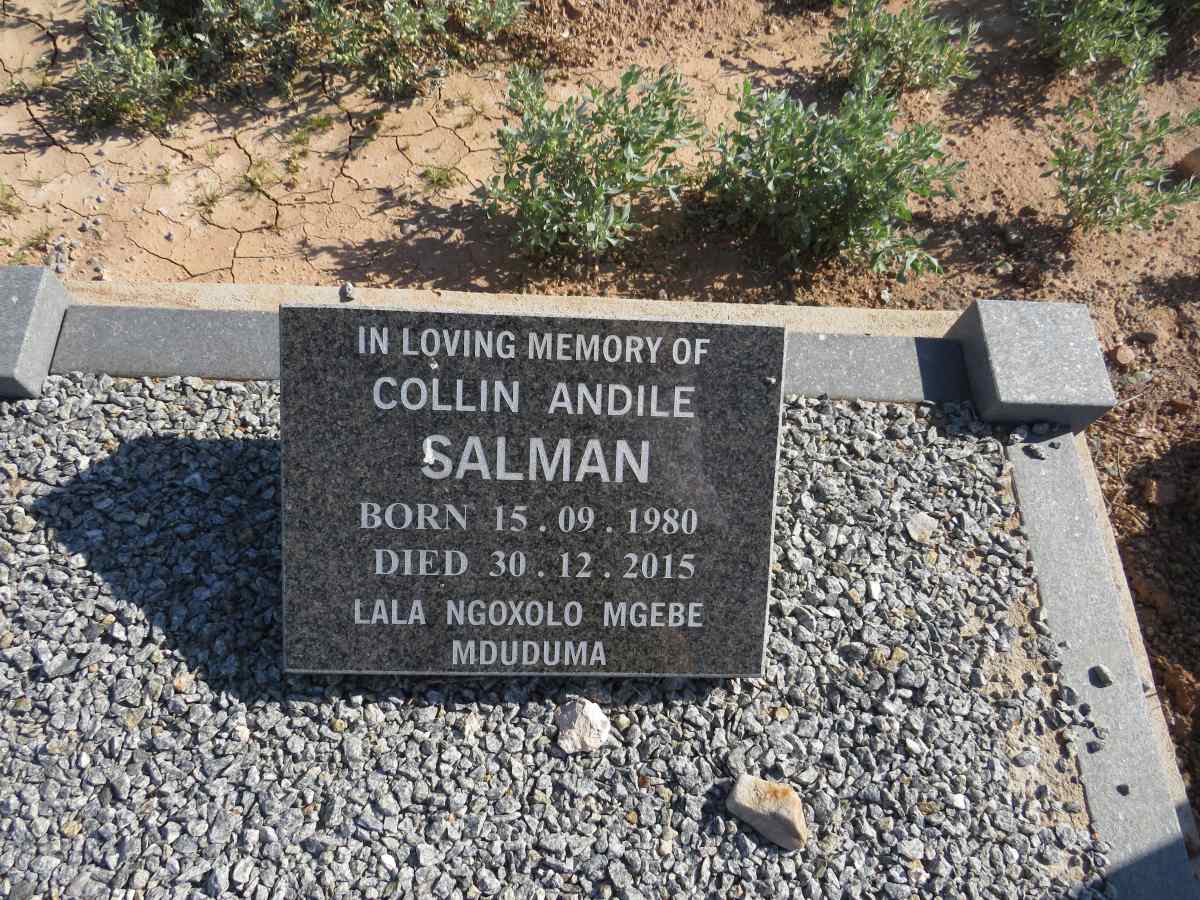 SALMAN Collin Andile 1980-2015