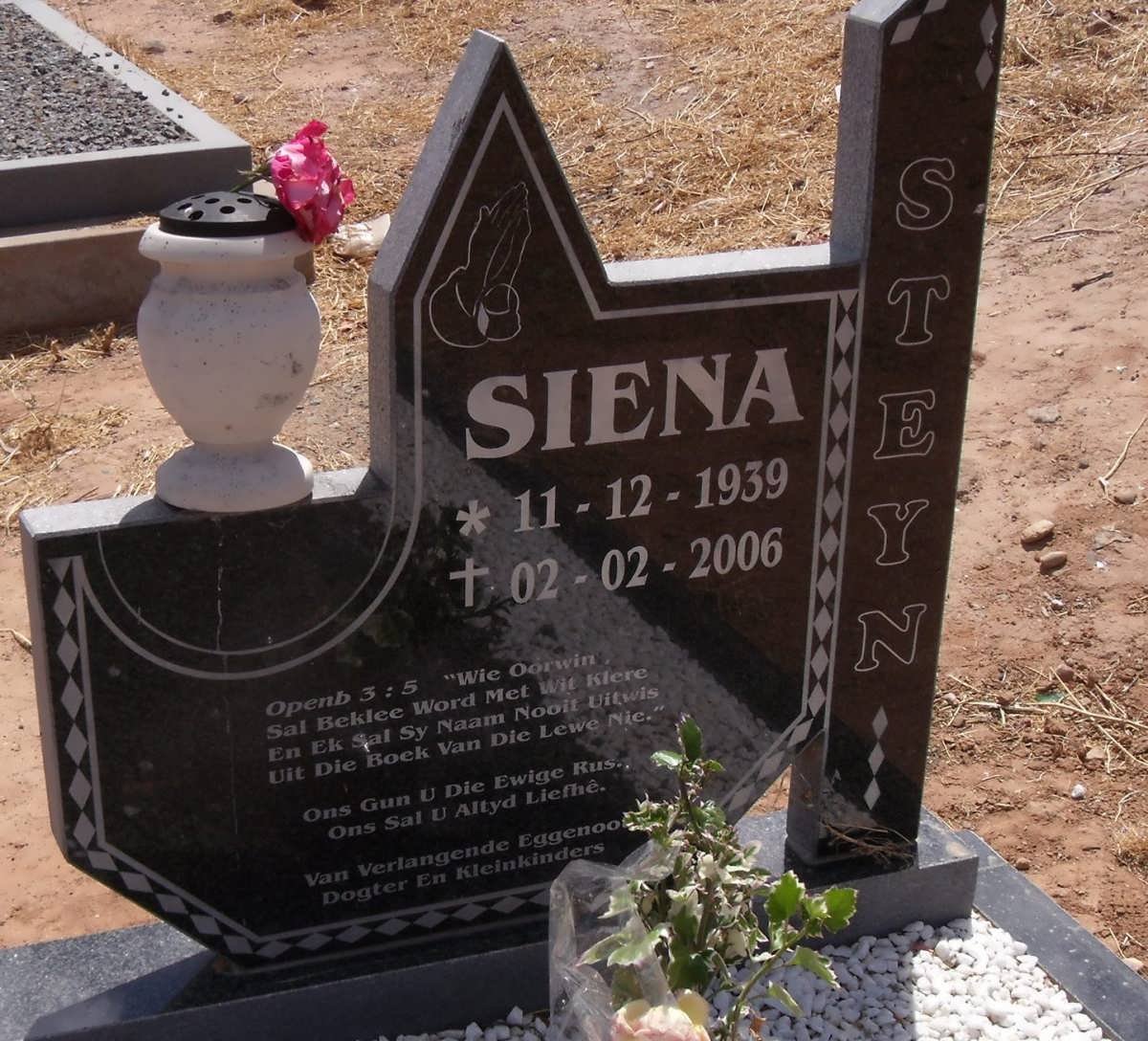 STEYN Siena 1939-2006