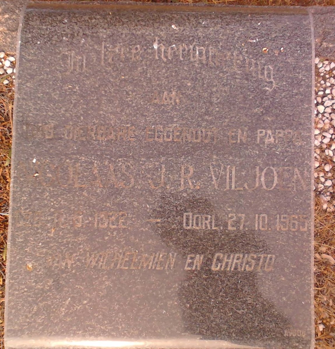 VILJOEN Nicolaas J.R. 1922-1965