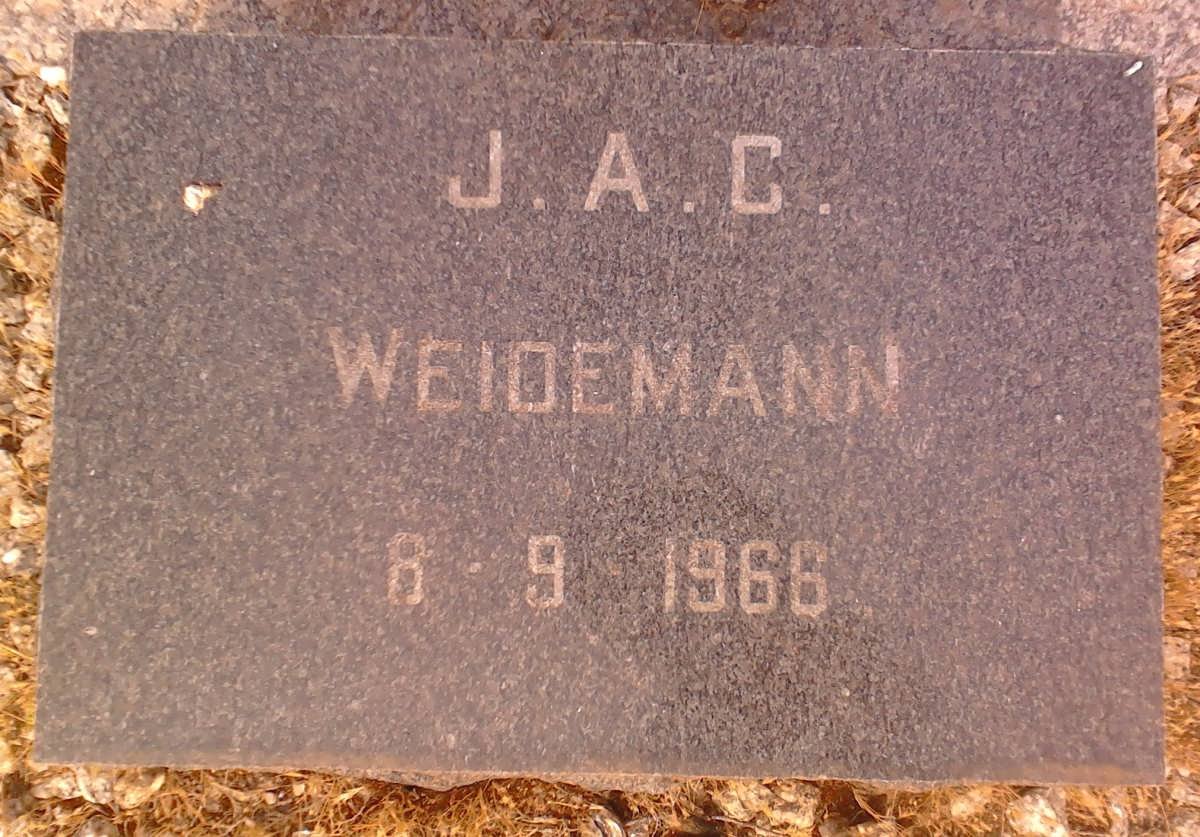 WEIDEMANN J.A.C. -1966
