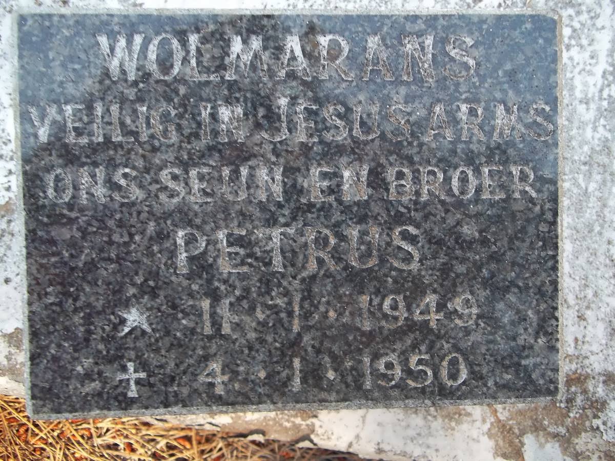 WOLMARANS Petrus 1949-1950