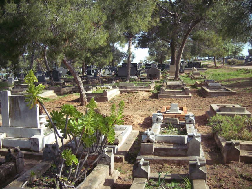 3. Overview