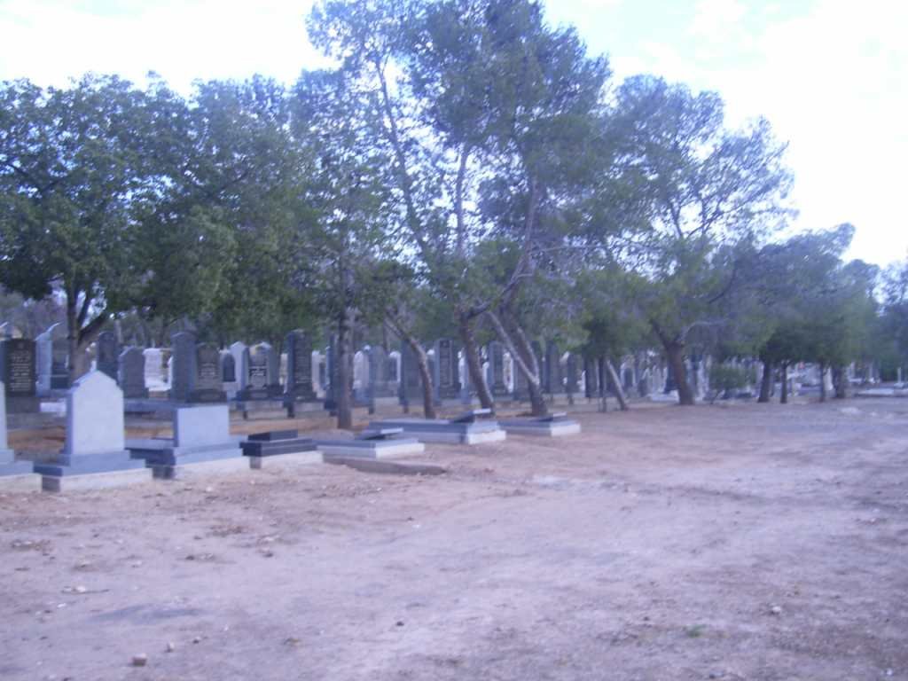 5. Overview