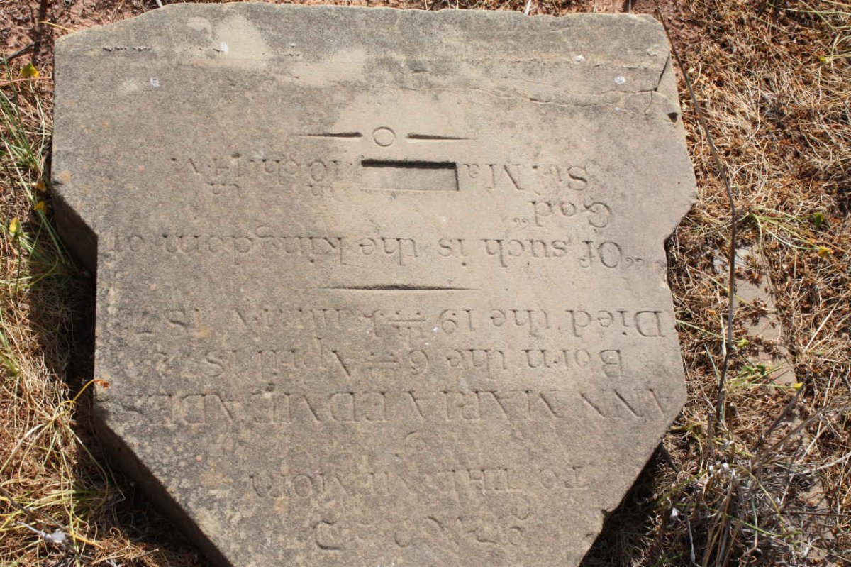 EDMEADES Ann Maria 1872-1873