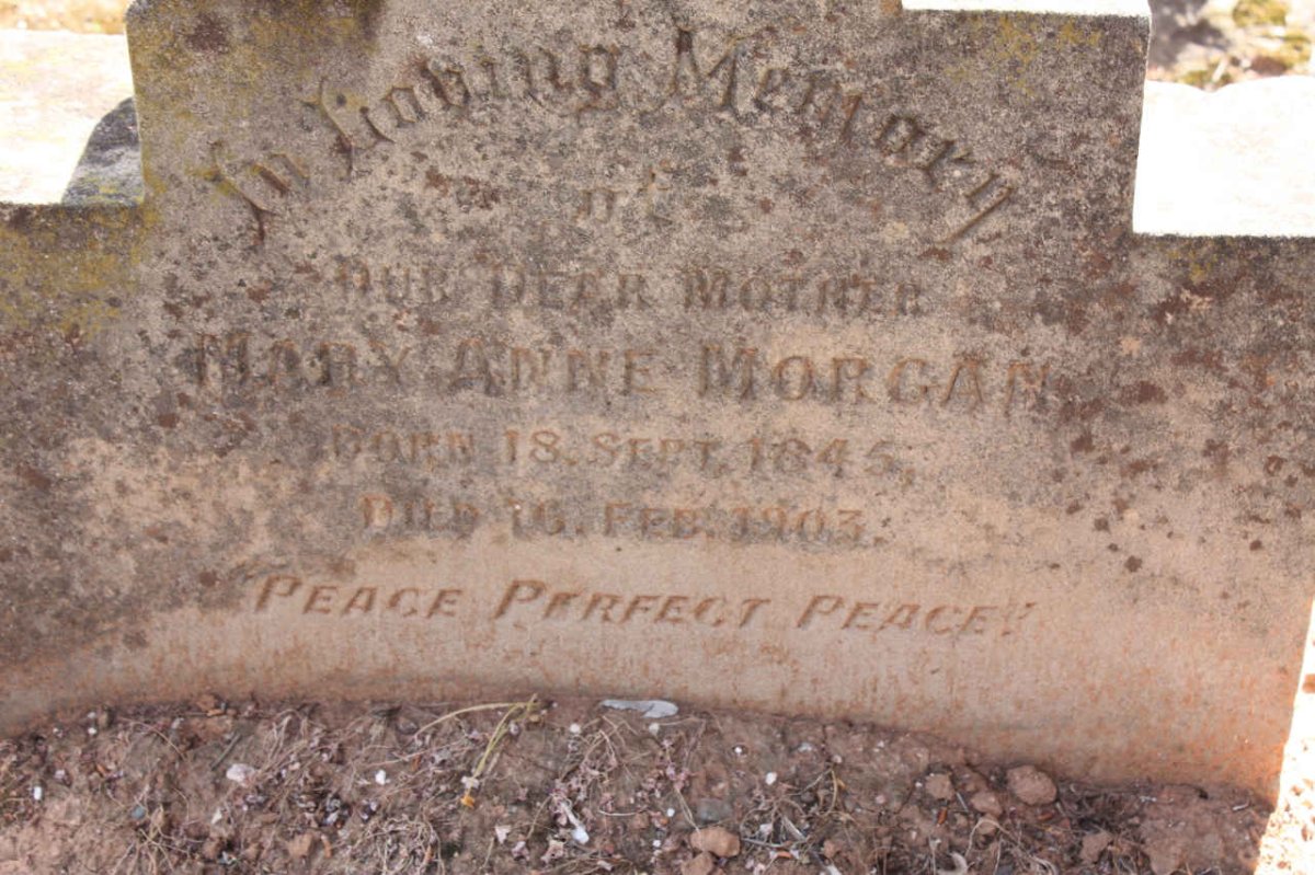 MORGAN Mry Ann 1845-1903