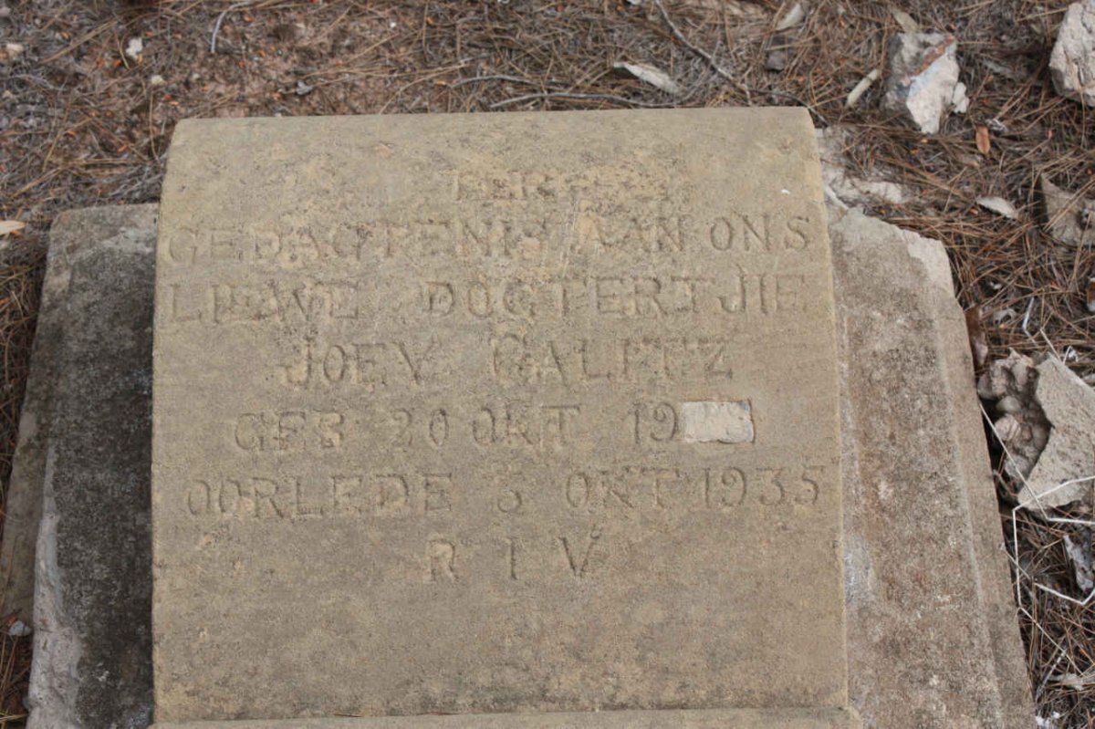 CALITZ Joey 1928-1935