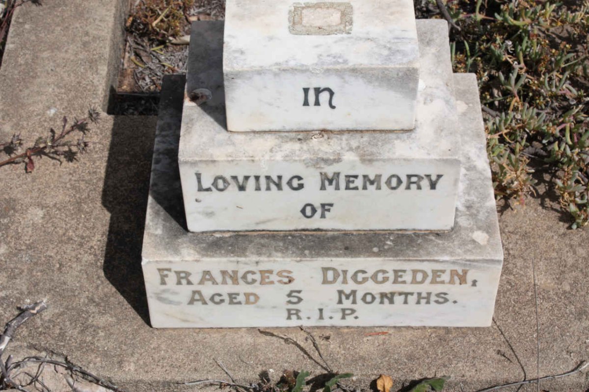 DIGGEDEN Frances