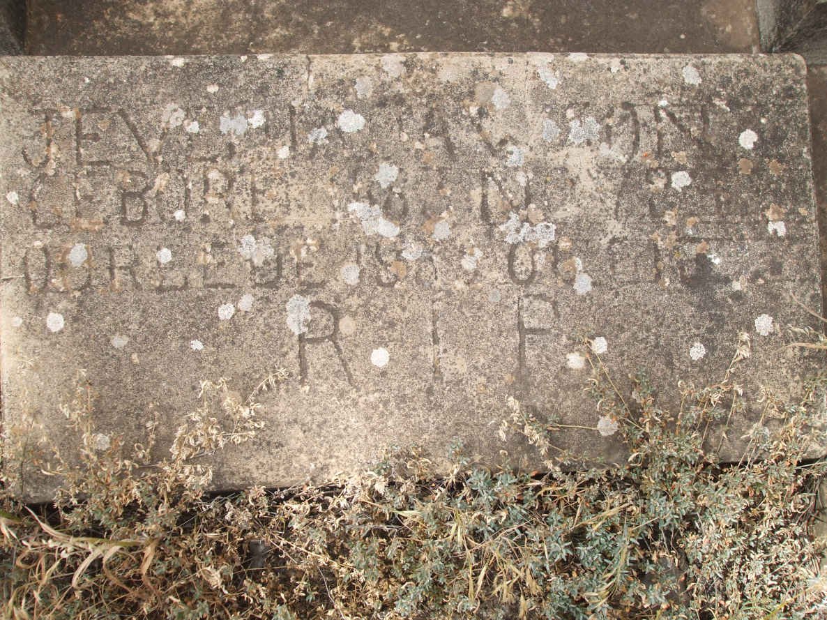DAWSON Jeve?ia 1872-19?
