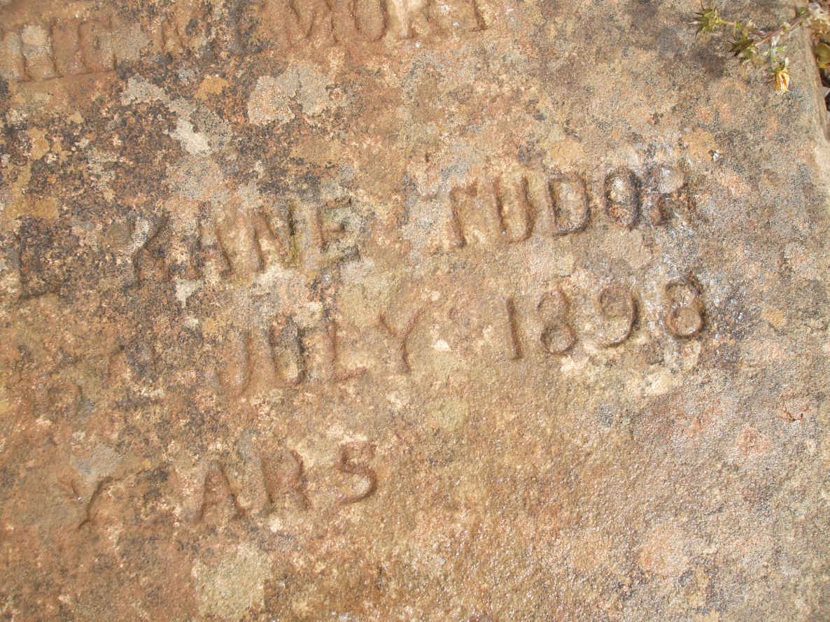 TUDOR Anne Catherine Kane -1898