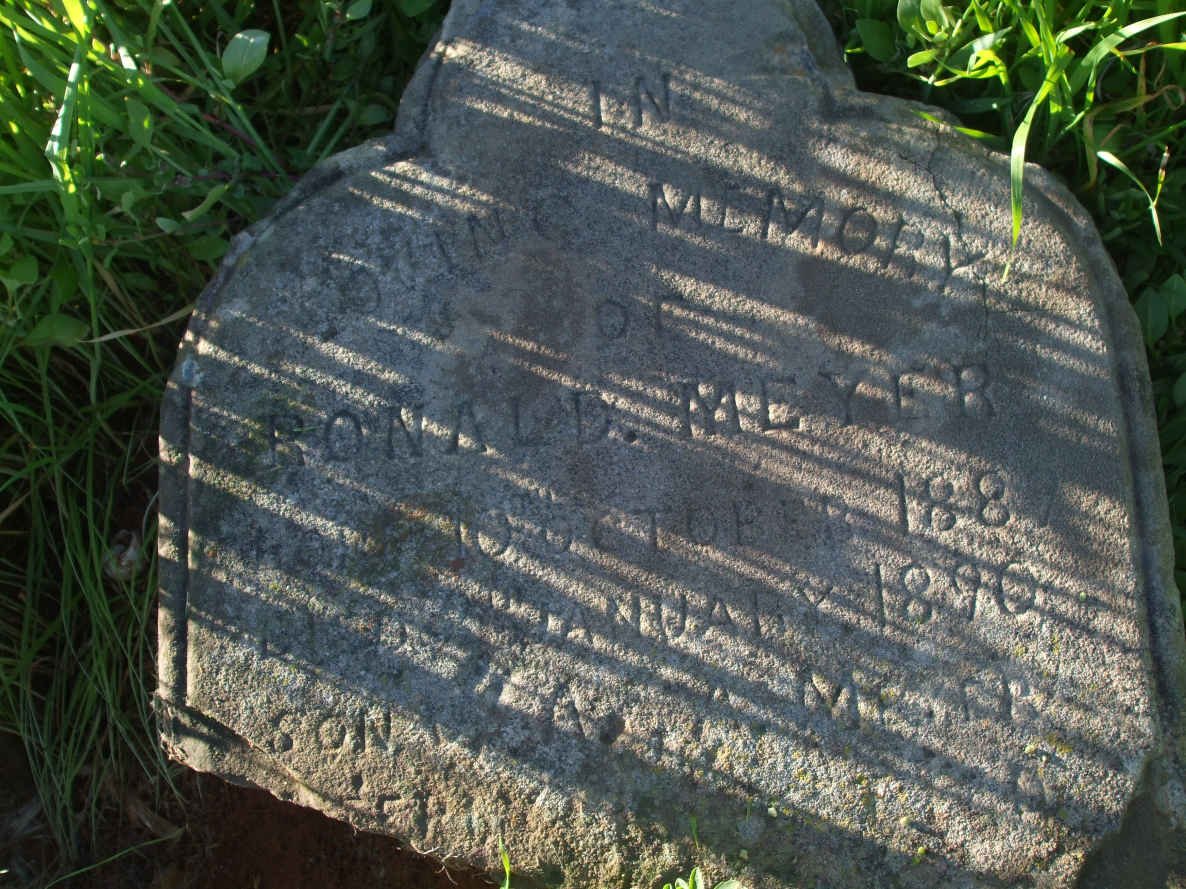 MEYER Ronald 1889-1890