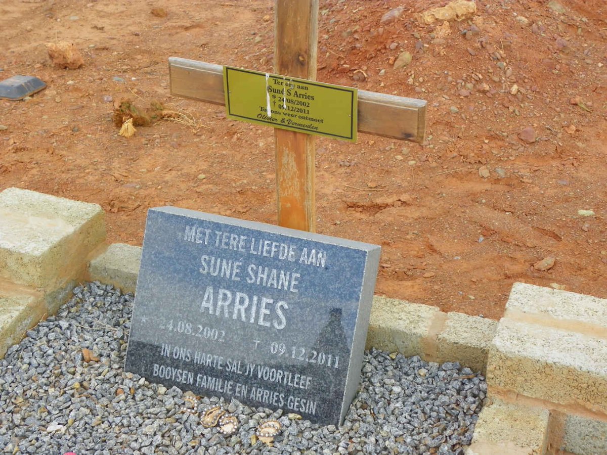 ARRIES Sune Shane 2002-2011