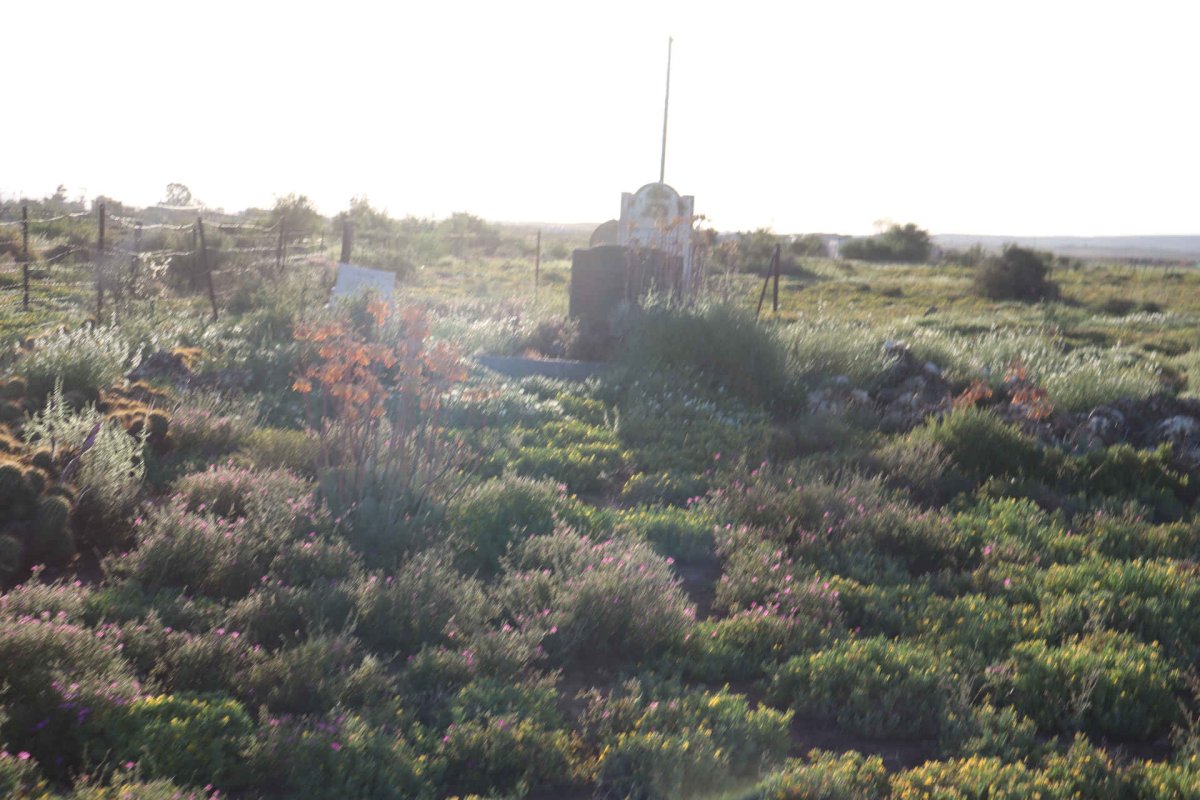 3. Oorsig / Overview