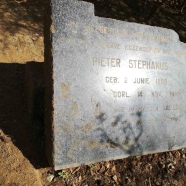 BOTHA Pieter Stephanus 1888-195?