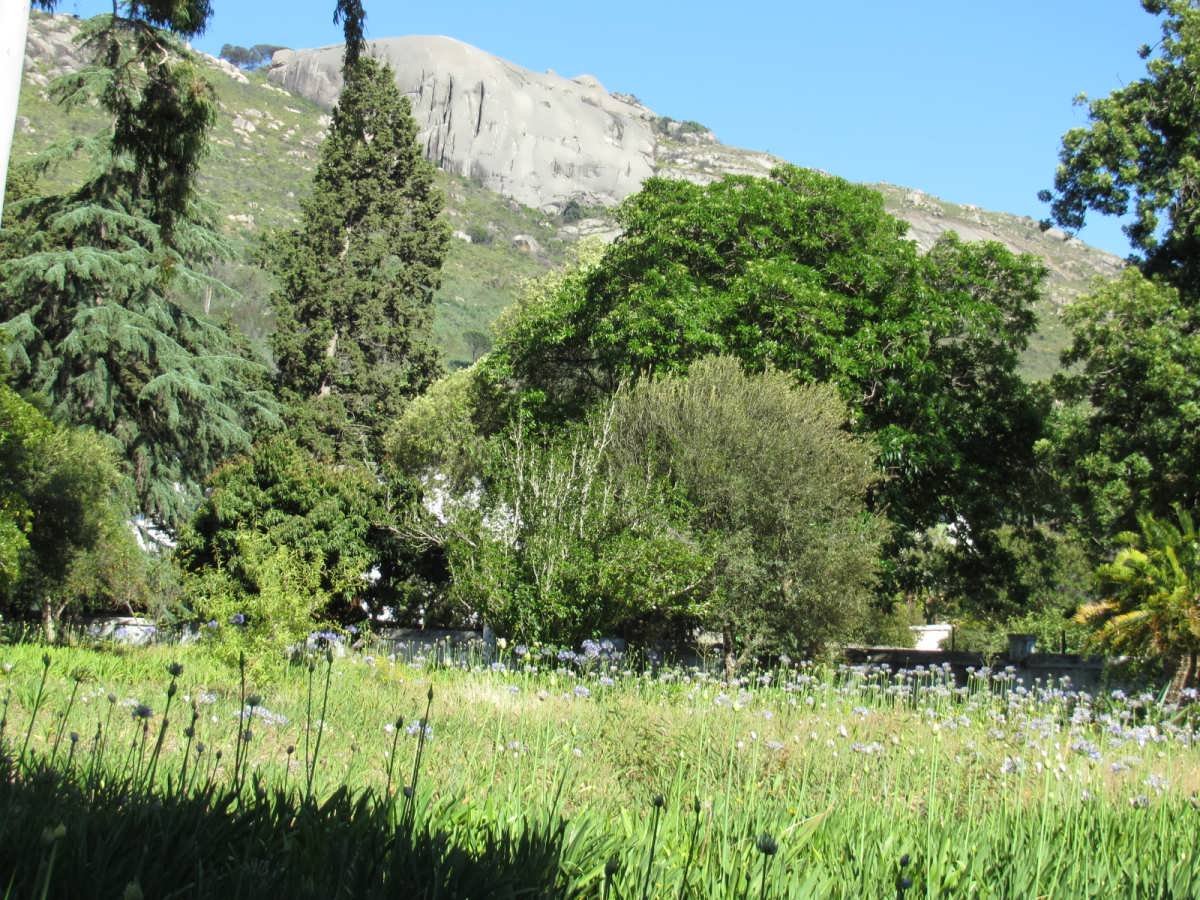 18. Overview of Cemetery