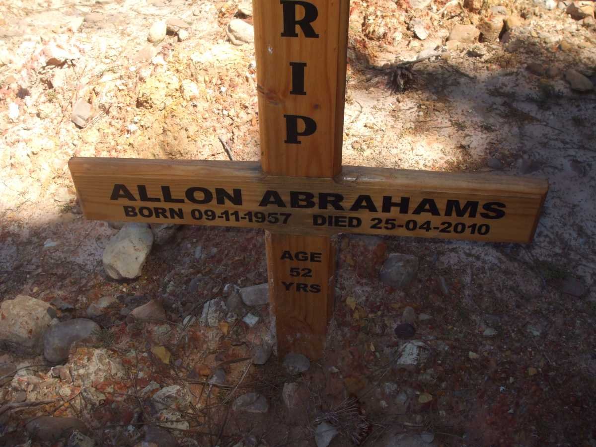 ABRAHAMS Allon 1957-2010