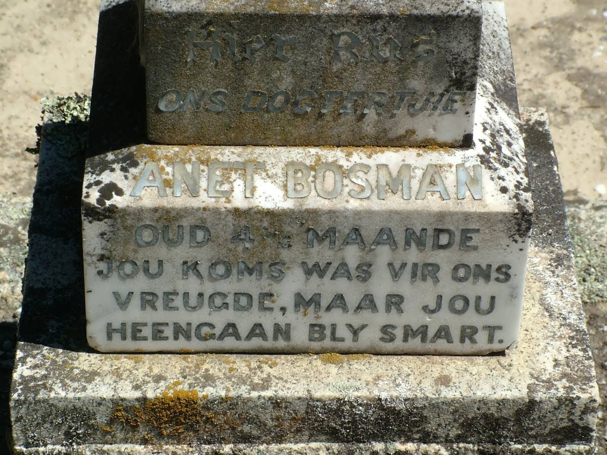 BOSMAN Anet