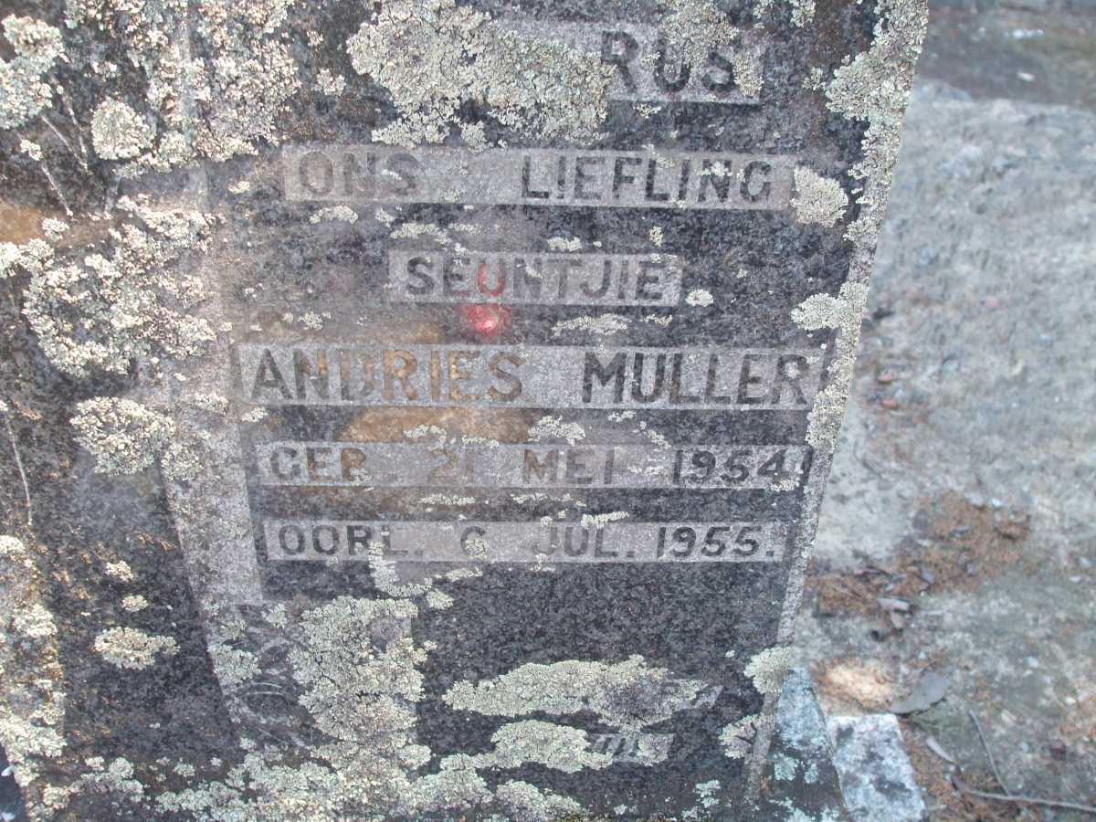 MULLER Andries 1954-1955