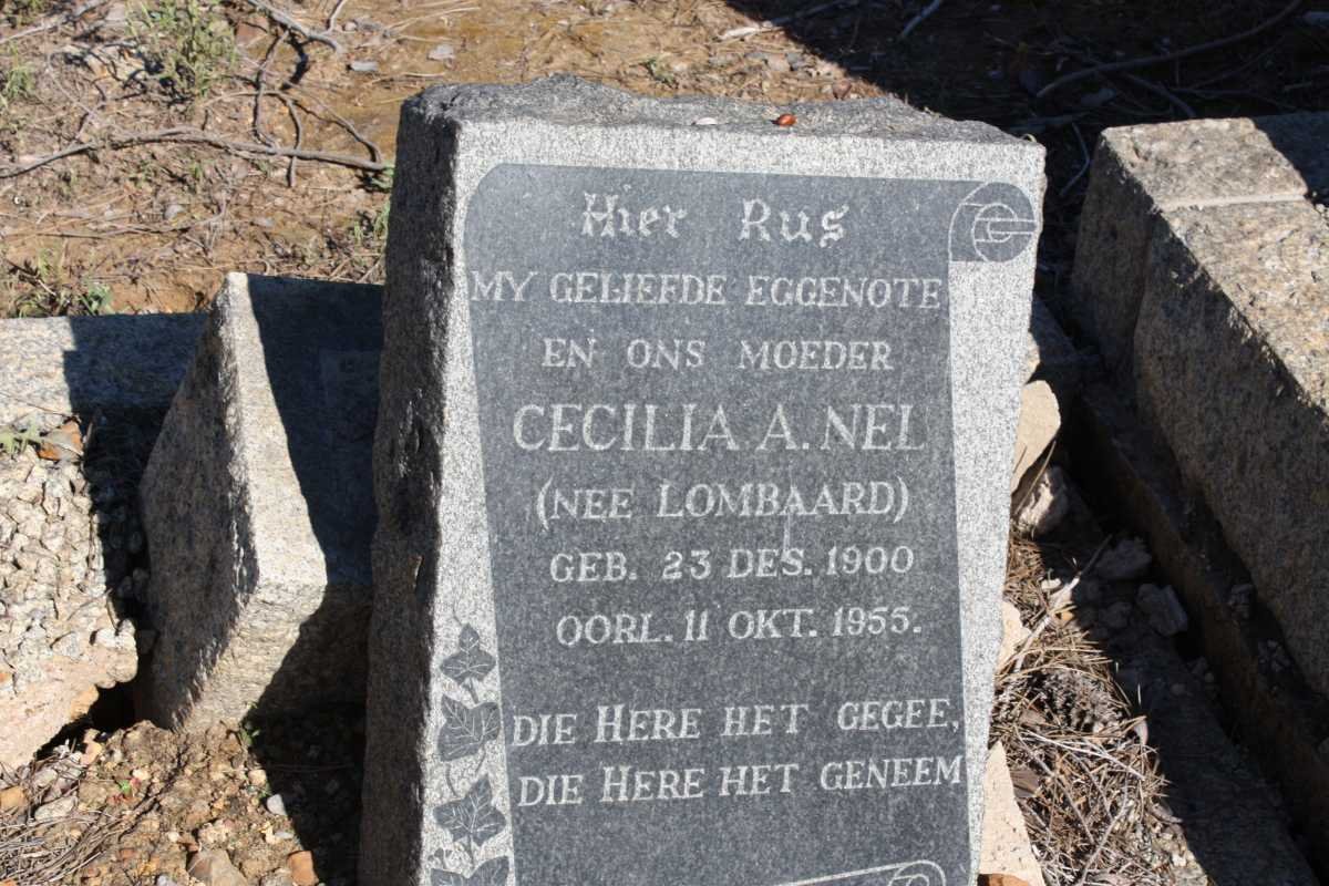 NEL Cecilia A. nee LOMBAARD 1900-1955
