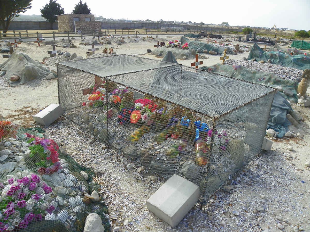 ARENDSE Florence 1952-2014 _2