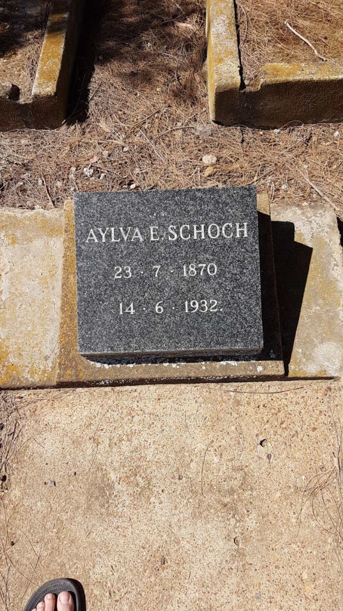 SCHOCH Aylva 1870-1932