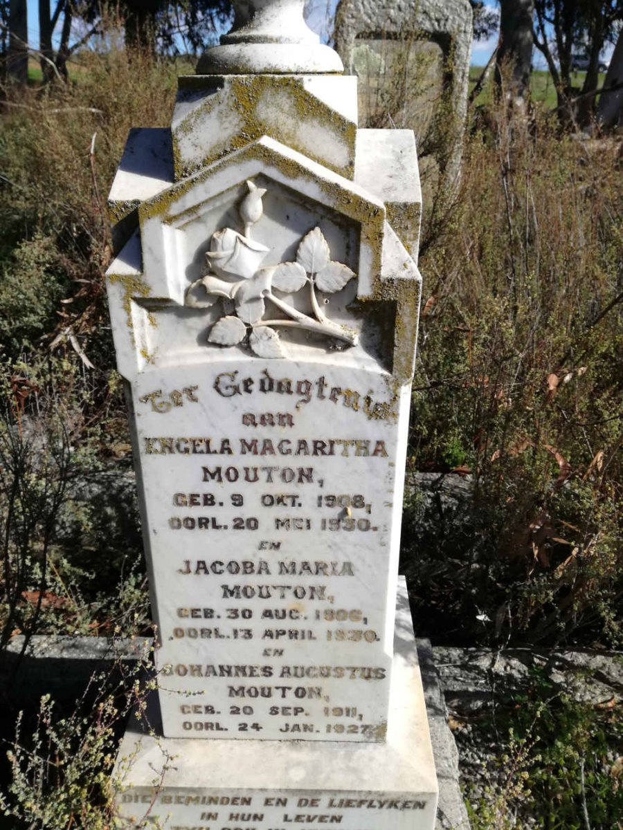 MOUTON Jacoba Maria 1906-1930 :: MOUTON Engela Magaritha 1908-1930 :: MOUTON Johannes Augustus 1911-1927