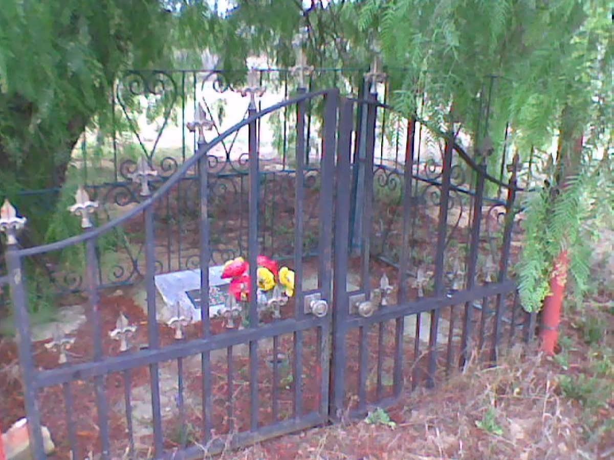 1. Overview