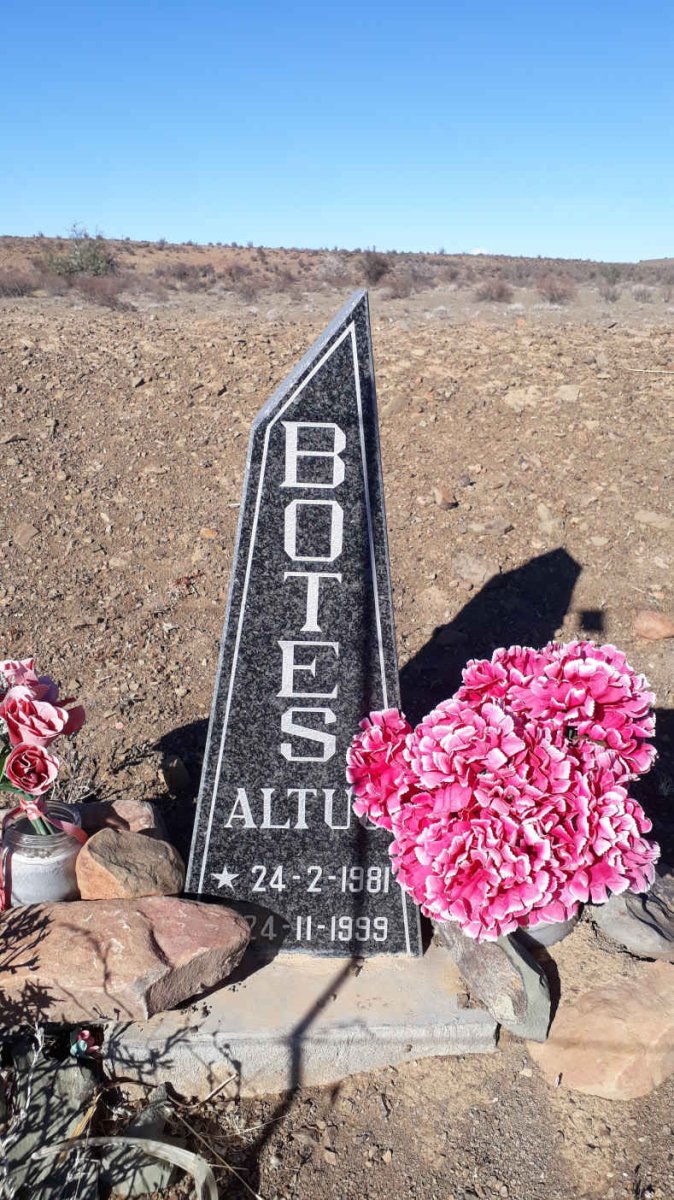 BOTES Altus 1981-1999