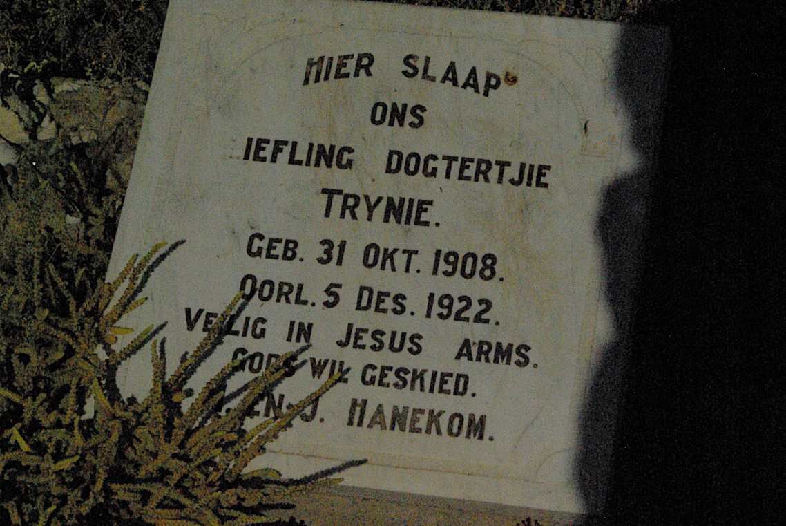 HANEKOM Trynie 1908-1922