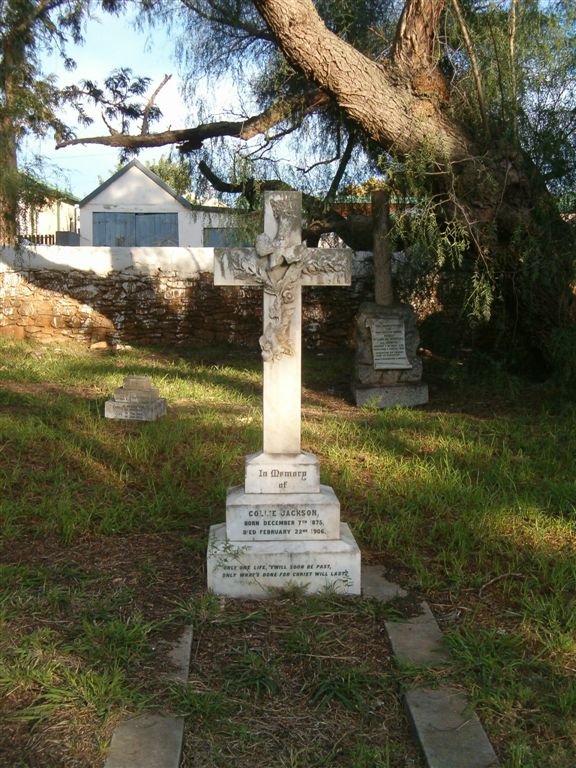 JACKSON Collie 1875-1906
