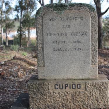 CUPIDO
