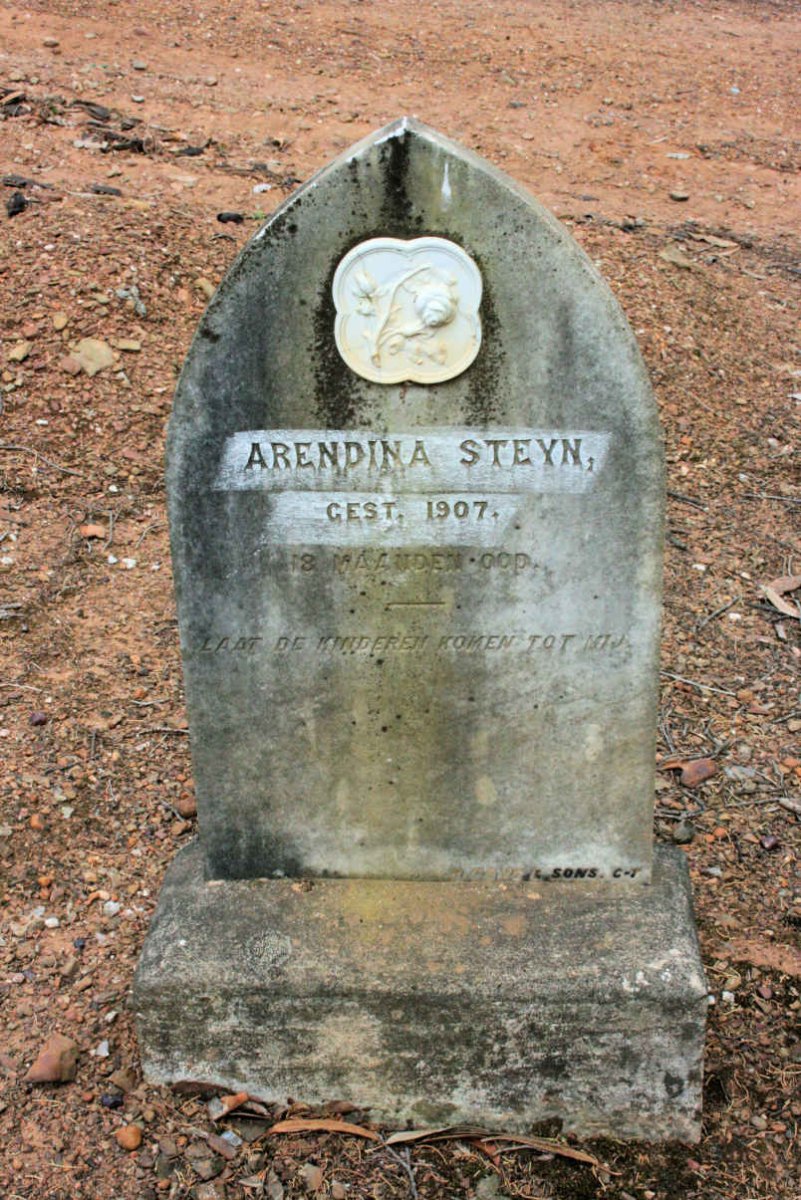 STEYN Arendina -1907