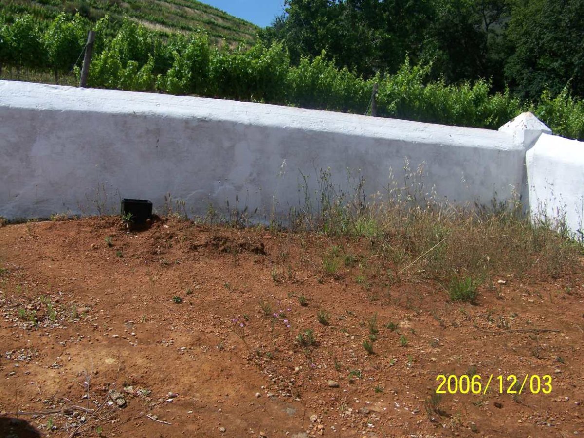 ? Unmarked Grave
