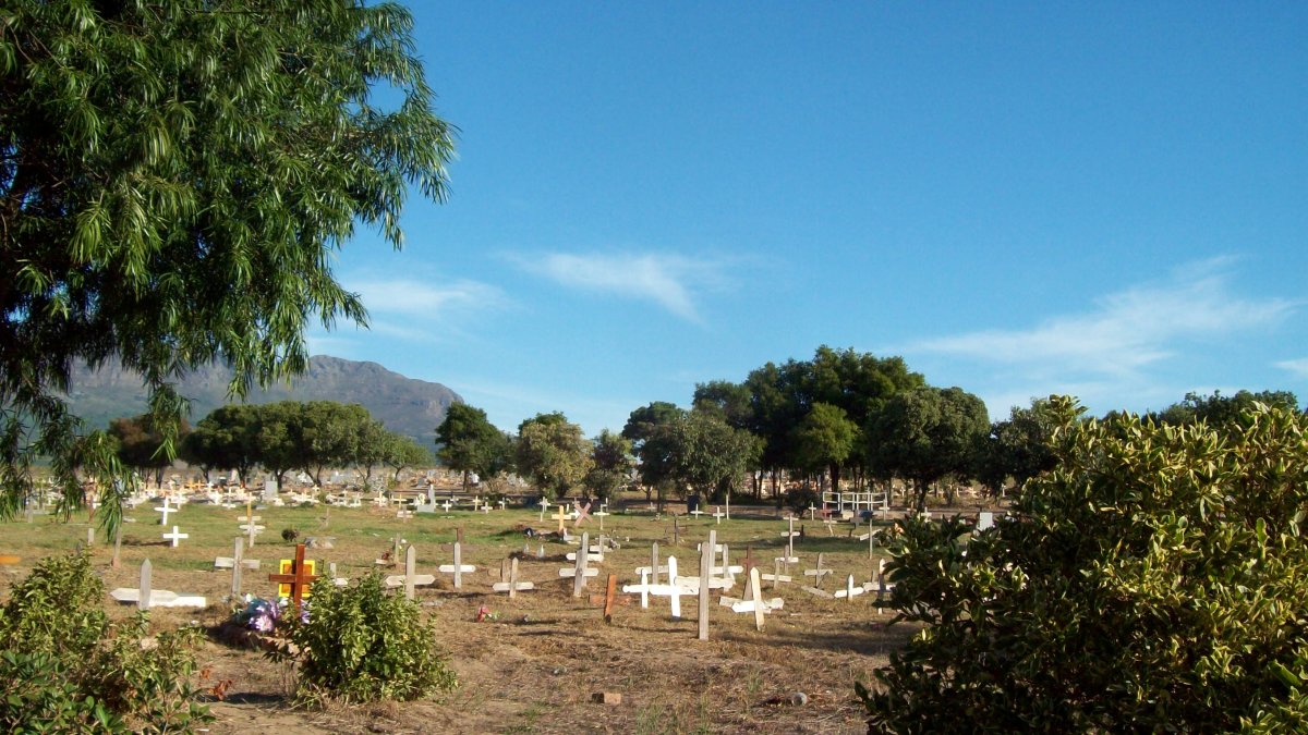 2. Overview