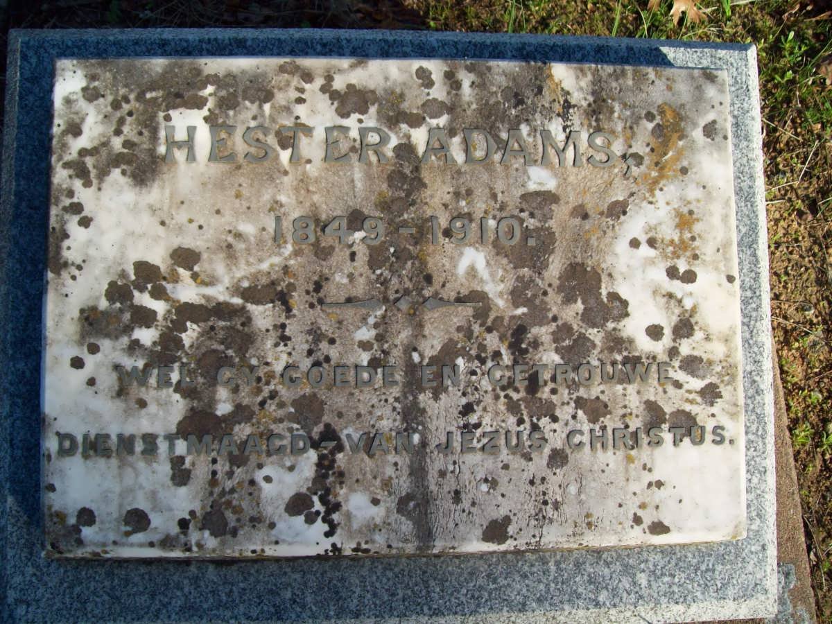 ADAMS Hester 1849-1910