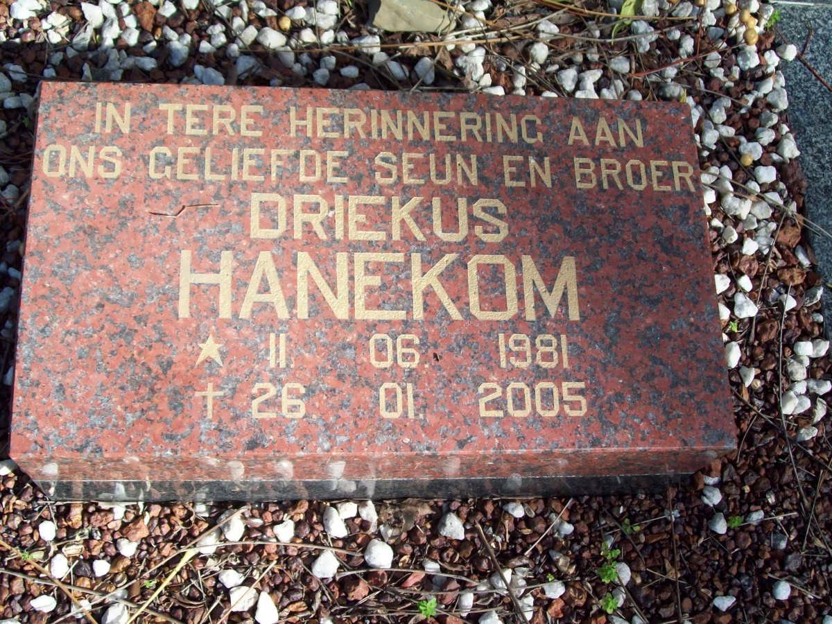 HANEKOM Driekus 1981-2005
