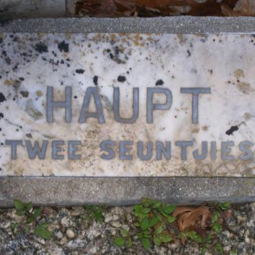 HAUPT twin boys