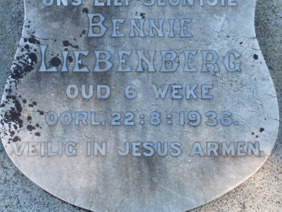 LIEBENBERG Bennie 1936-1936