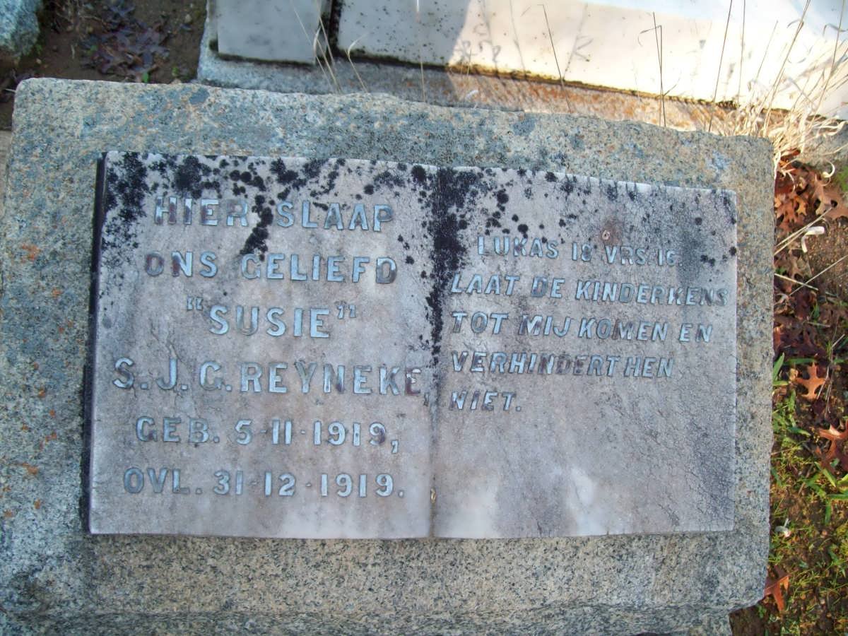 REYNEKE S.J.G. 1919-1919