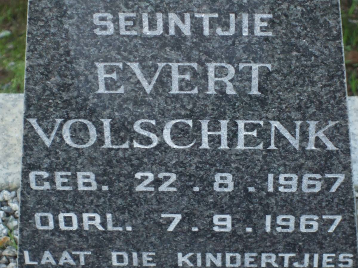 VOLSCHENK Evert 1967-1967
