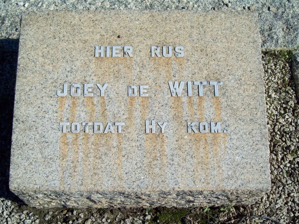 WITT Joey, de