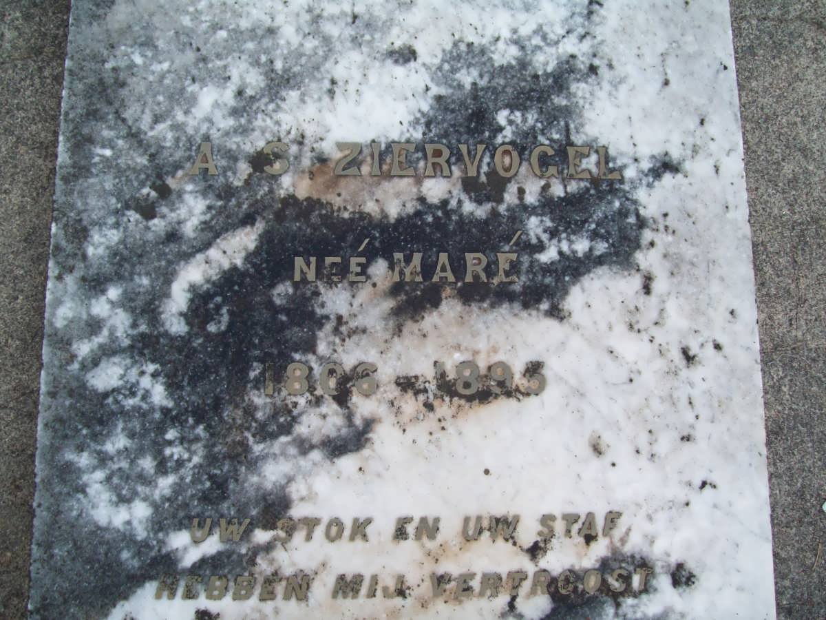 ZIERVOGEL A.S. nee MARE 1806-1895