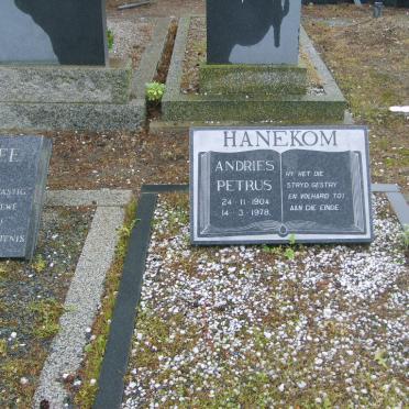 HANEKOM Andries Petrus 1904-1978